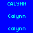 pixelated text variations of 'Calynn' in cyan on blue background with red rectangular overlays in specific positions