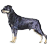 Pixelated dog standing in profile view, dark body with light tan legs and muzzle against solid gray background.