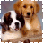 iconhell_mirrastarr_puppy
