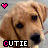 dog head images with 'CUTIE' text and colored hearts above each, showing color variations in the heart symbols