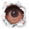 A 4-frame contact sheet showing a torn paper effect revealing an eye that closes in the second frame, with two identical open-eye frames and one gray placeholder frame.