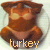 Pixelated brown turkey with rounded body and head, standing on a light background with the word 'turkey' in lowercase yellow text below.