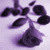 Animated contact sheet of a purple rose icon with subtle frame-to-frame variations in petal and leaf positioning across eight sampled frames.