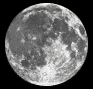 A sequence of grayscale moon phases displayed in a , showing gradual darkening and lightening of lunar surface features