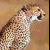 Pixelated image of a spotted feline with open mouth, brown and tan background.