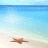 A static pixelated image shows a brown starfish on light beige sand against a gradient blue ocean background.