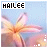 A static image of a pink flower with yellow center against light blue background, labeled 'HAILEE' in white text at top left.