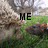 A static image shows a grassy outdoor scene with trees and rocks, featuring text overlays that change across observations.