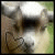 A blurry animated icon shows a dog's face with a heart symbol, transitioning between two states.