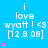 A blue background displays repeated text 'i love wyatt! <3 [12.8.08]' with pink star icons appearing in different quantities across frames.