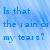 Pixelated blue text on a light blue gradient background reads 'Is that the rain or my tears?' in three lines.