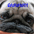 A pug's face with blue pixelated text overlays in a four- , showing sequential changes to the phrase