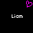A static pixel art icon with a pink heart symbol above two instances of the name 'Liam' in white text on black background.