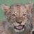 A pixelated lion cub image with green text reading "Original Icons .com" on a dark background, displayed as part of an animated contact sheet.