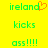 Yellow background with green pixelated text 'ireland' featuring an orange heart symbol replacing the 'd', 'kicks', and 'ass!!!!!' arranged in three