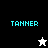 Four display 'TANNER' text with a star icon changing from white to black on different backgrounds