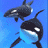 Six display SeaWorld branding with orca and dolphin imagery against blue backgrounds, some showing text overlays