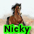 Animated sequence showing a horse and rider in Western attire with text overlays.