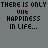 Animated text sequence on gray background with repeated phrases and color-coded words, transitioning through multiple states of text visibility and color variation.
