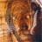 Pixelated animated contact sheet showing a person in hooded attire with changing facial expressions and background elements across six frames.