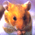 Pixelated orange hamster icon with black eyes and white accents on a purple gradient background.
