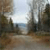Pixelated landscape with muted earth tones showing indistinct trees and a bright sky, rendered in low-resolution style.