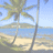 Pixelated beach scene with palm trees and ocean on left, blue background with white text "Lauren & Eriko BFA's" on right.