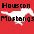 Red background with white horse silhouette and black text reading Houston Mustangs, Aboloff, Cunningham, Holdsworth, T.Salazar, All the