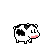 Pixelated cow icon with black spots, pink nose, and smiling expression in various text contexts.