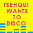 Yellow background with pink text reading "TSEHQUI WANTS TO DISCO." and blue audio equalizer bars in four repeated sections.
