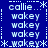 Blue background with white pixelated text and symbols arranged in a pattern, featuring repeated words 'callie' and 'wakey' with asterisks and dotted lines