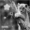 Black-and-white image of a kitten clinging to a tree branch with a star and snowflake graphic overlay and "RAWR" text at the bottom.