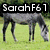 Four- shows horses in various poses with overlaid text: 'SarahF61', 'Member of', and 'HLFEL' on grassy or dirt backgrounds