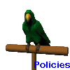 Green parrot with yellow beak perched on brown wooden post, blue text 'Policies' below, multiple poses showing wing and head movements.