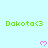Green text 'Dakota<3' repeated across light cyan background with pink pixel hearts, partially obscured by gray rectangle.