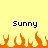 Yellow background with two 'Sunny' text labels above orange pixelated flames in a horizontal