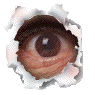 Two side-by-side circular images with torn paper edges showing an eye opening and closing against a gray background.