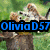 A four- of pixelated images showing cats and text overlays with blue, pink, and green lettering