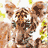 Animated sequence showing a tiger's face transitioning from blurred motion to clear focus, with background elements shifting between water reflections and sky.