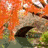 Six autumn-themed static images arranged in a showing trees, leaves, and a stone archway with water
