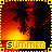identical pixelated showing a sunset with palm trees, each bordered by yellow geometric patterns and labeled 'SUMMER' in blocky text