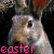 Animated contact sheet of a rabbit icon with repeated text overlays across multiple frames.