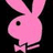 Pink bunny silhouette with bow tie on black background, paired with 'funny' and 'bunny' text in pink pixelated font on dark blue and gray backgrounds.