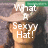 Pixelated image of a person wearing a light brown wide-brimmed hat with a green band, overlaid with white text reading "What a Sexy Hat!".