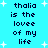 Pixelated text on cyan background with white star shapes, repeating 'thalia is the lovee of my life' in dark blue letters.