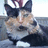 A pixelated cat with calico fur pattern sits on a surface, next to green text reading *KIARA* on a black background.