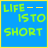Pixelated text split across two blue with yellow borders, reading "LIFE -- IS TO SHORT" on left and "TO BE COOL" on right