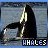 Animated whale breaching with tail flukes visible, water background, and 'WHALES' text below.