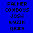 Pixelated text displays 'PALMER COWBOYS JOSH WYZIK QB#9' in black on blue, white, and light blue backgrounds.