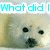 A four- shows a small white dog with black eyes and nose, each containing text in light blue pixelated font